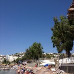 1011844_10151682732951346_340416925_n