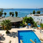 10153601_10152353359019188_1784389165_n