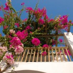 10156943_10152353355504188_1457420080_n