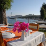 10299239_10152410431074188_432376772_n