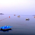 1176199_10151847335731346_554312773_n