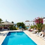 532560_10151349022241346_1218611743_n