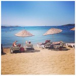 535899_10151865553166346_127620114_n